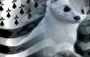 Hermine Qualif 1 du 22 à Lancieux (Seniors)